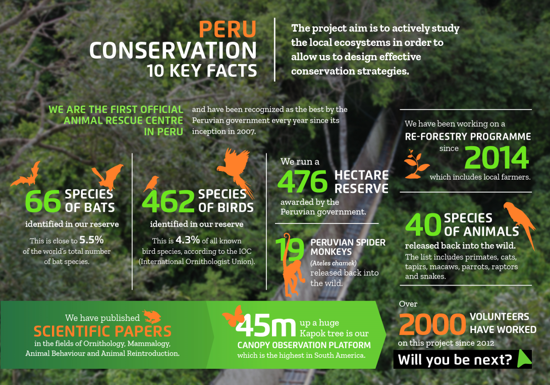 The impact you will make on the conservation volunteer project in Peru with projects abroad Interesting facts about conservation volunteering in Peru with projects abroad